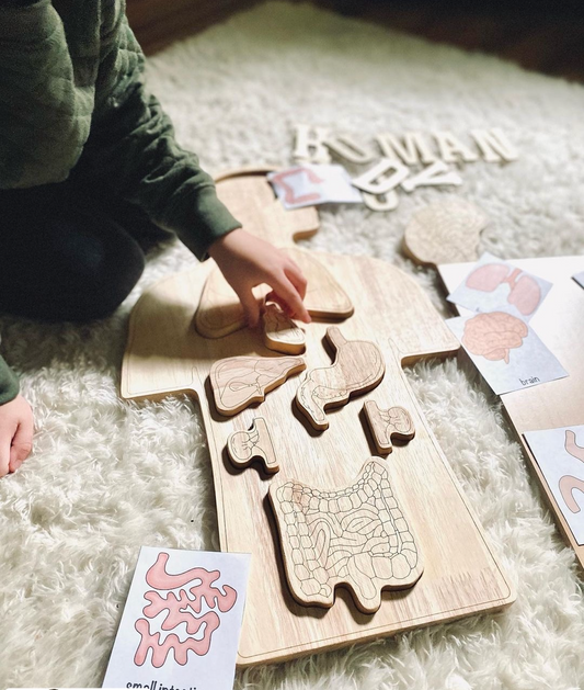 Nurturing Young Minds: Exploring Homeschooling Tools in a Montessori Way