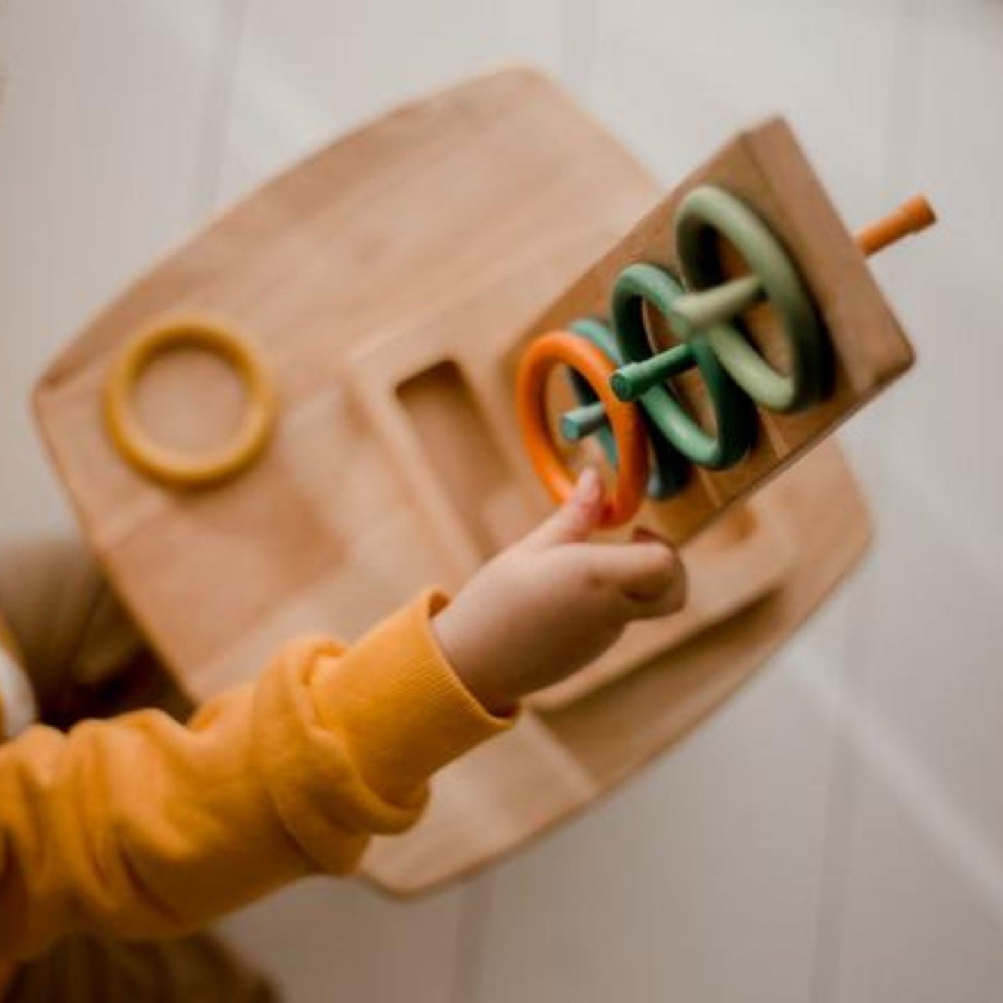 Sorting Ring Toss