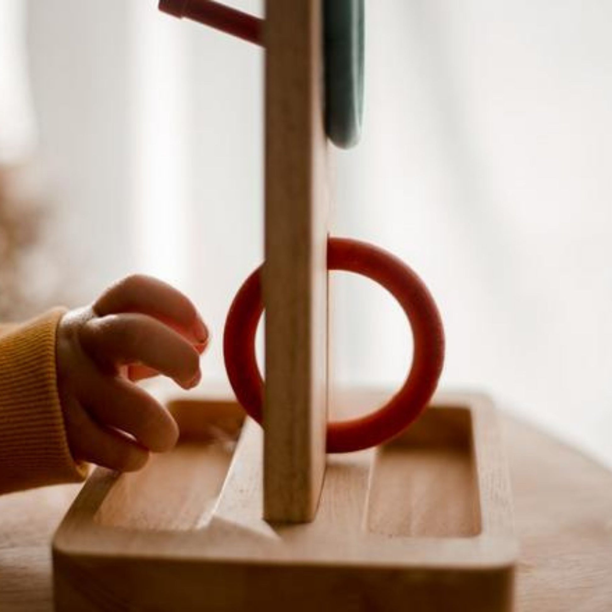 Sorting Ring Toss