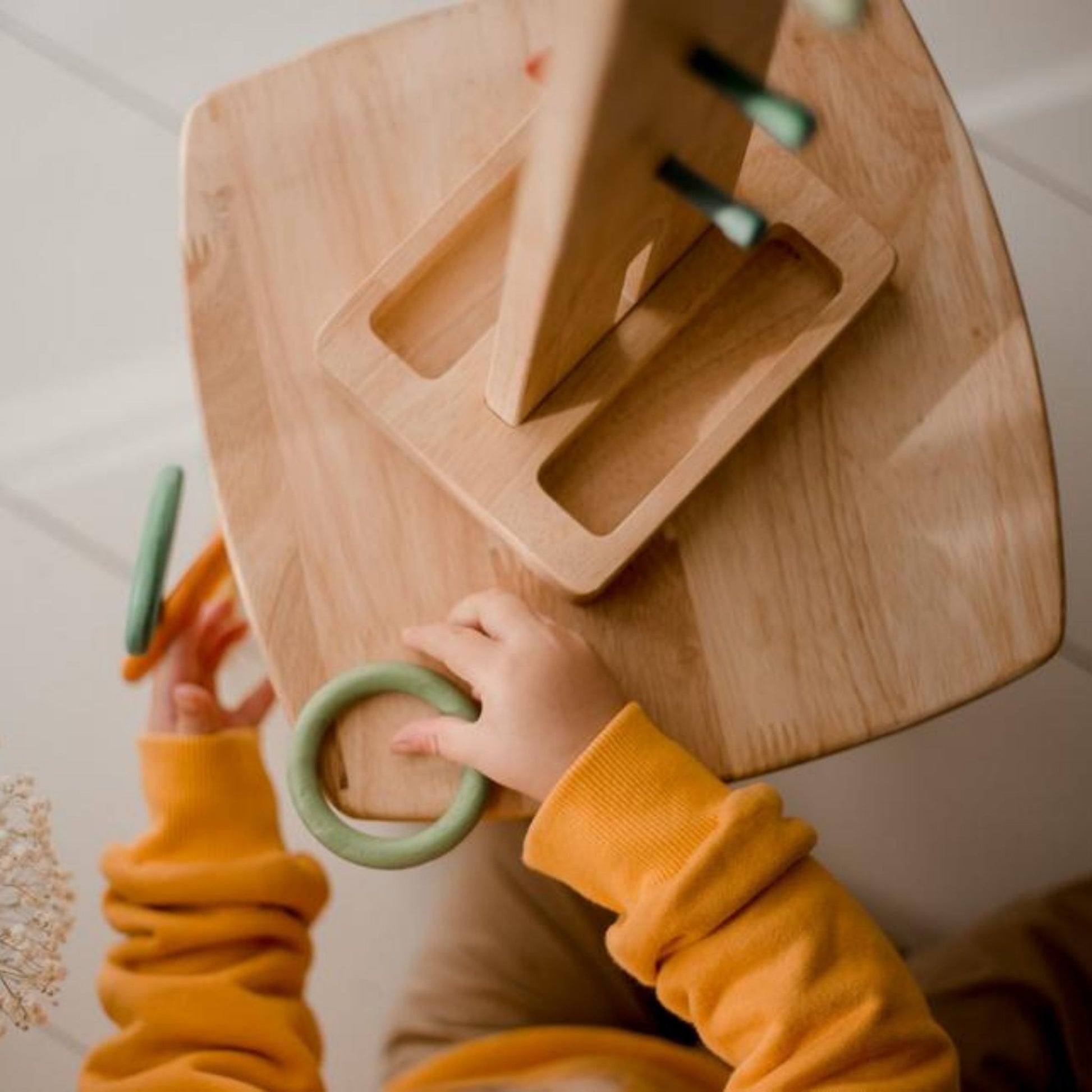 Sorting Ring Toss