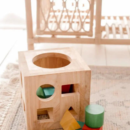 Wooden Montessori Shape Sorter