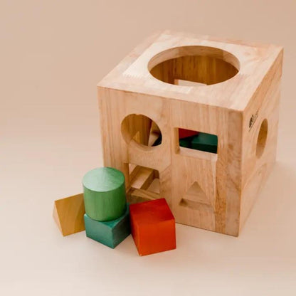 Wooden Montessori Shape Sorter