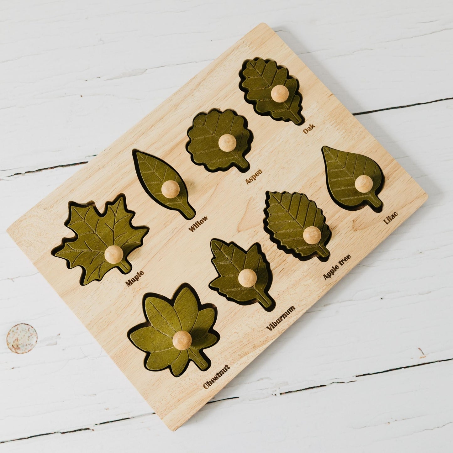 Montessori Leaf Puzzle