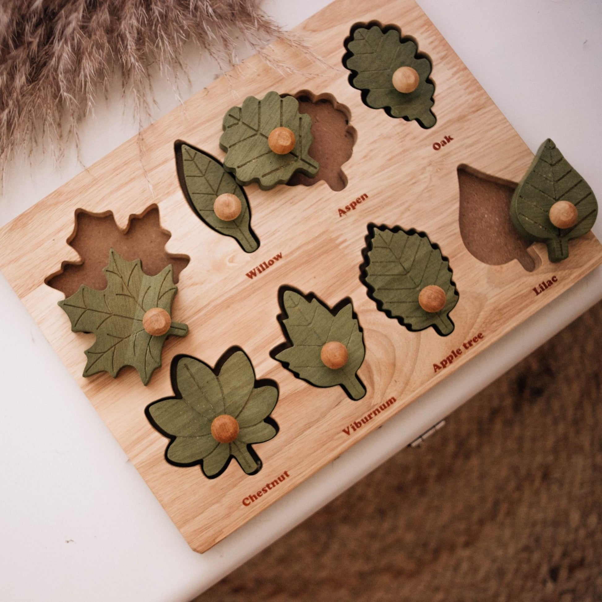 Montessori Leaf Puzzle