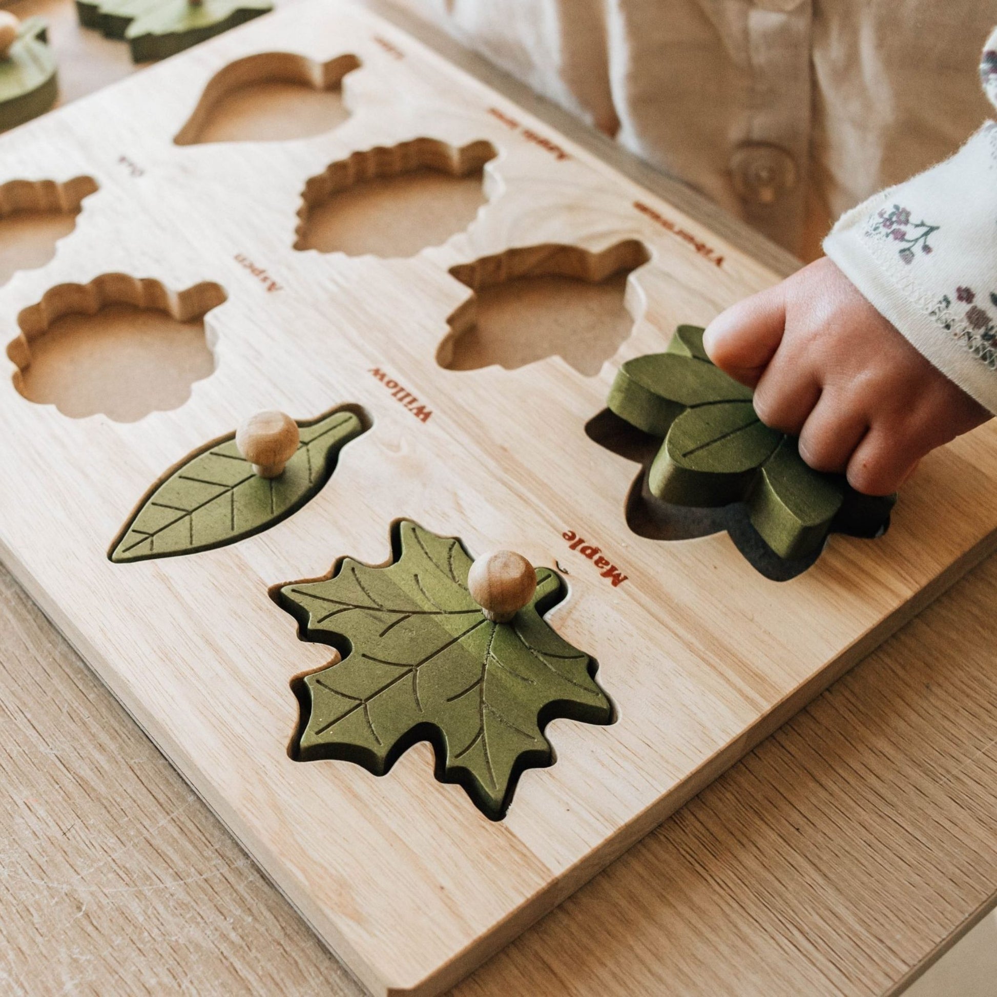 Montessori Leaf Puzzle