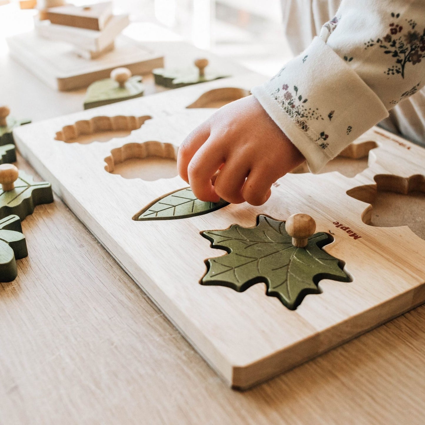 Montessori Leaf Puzzle