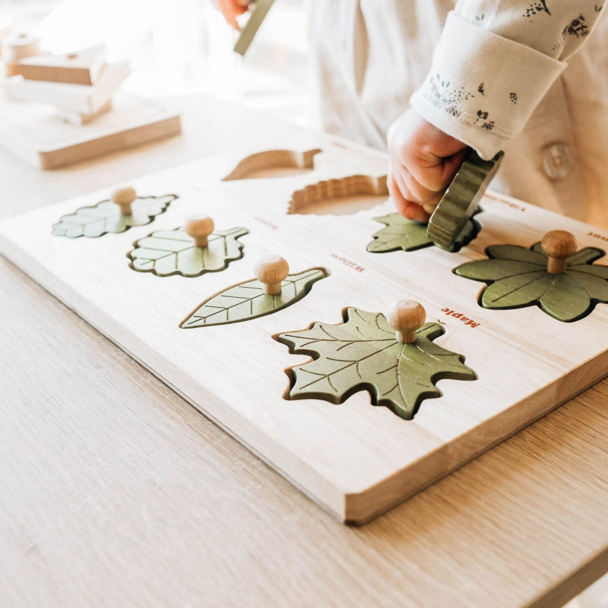 Montessori Leaf Puzzle