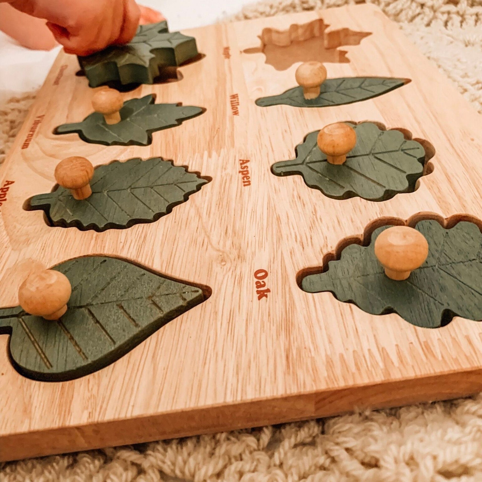 Montessori Leaf Puzzle