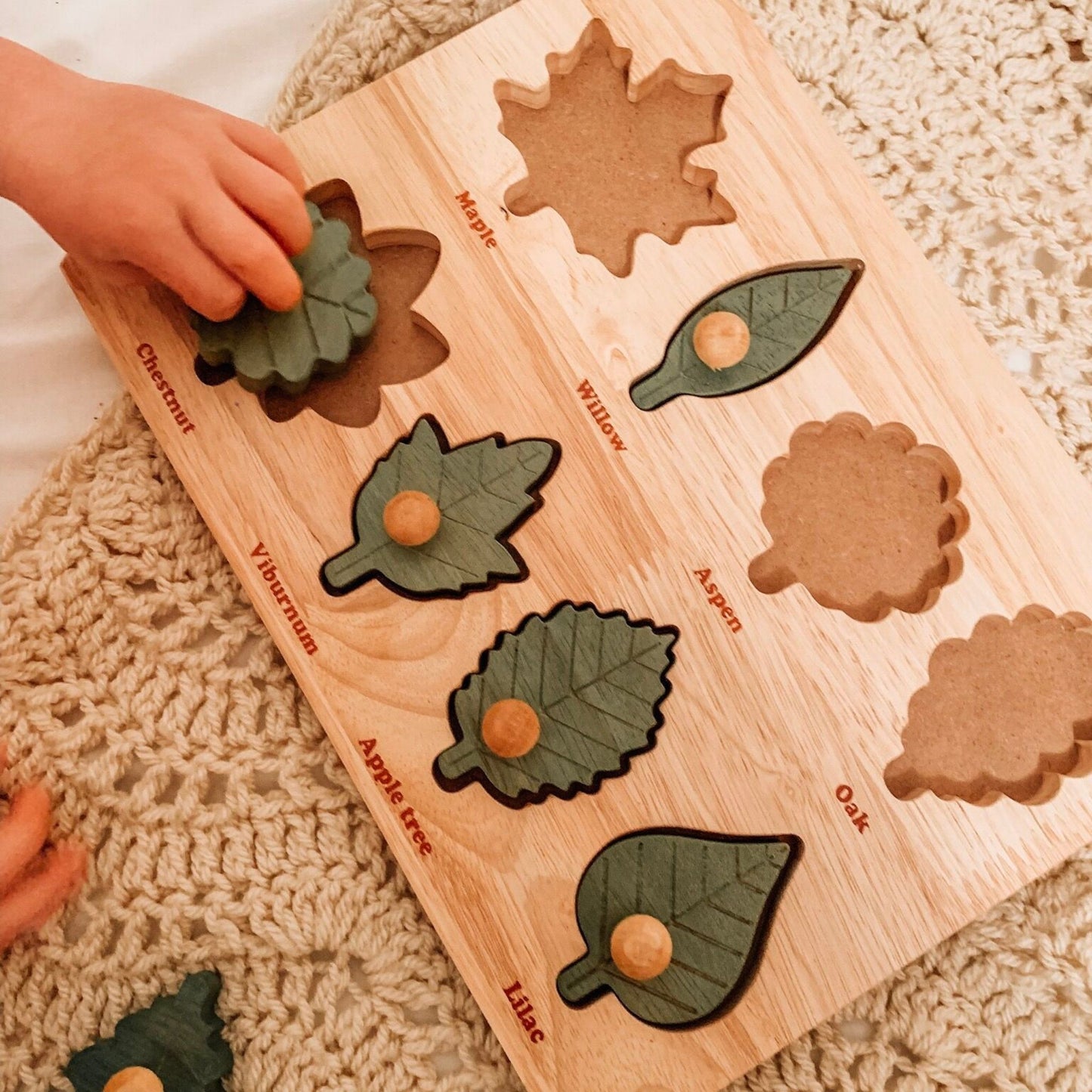 Montessori Leaf Puzzle