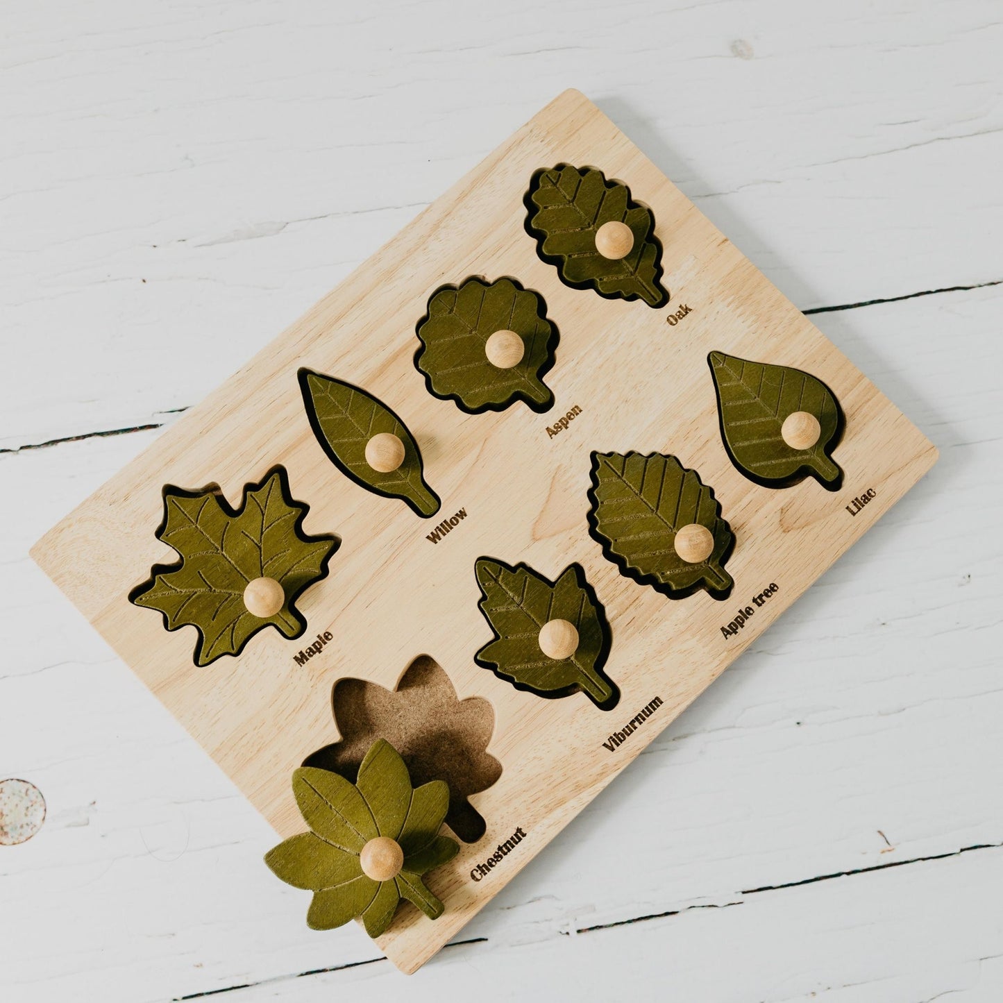 Montessori Leaf Puzzle