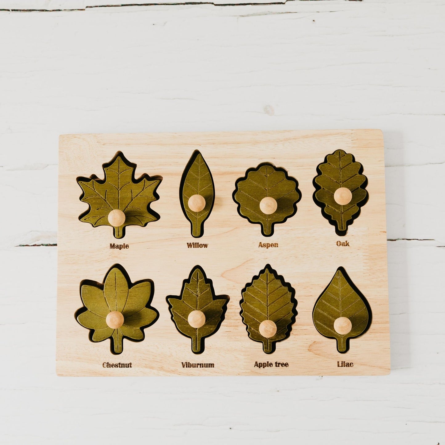 Montessori Leaf Puzzle