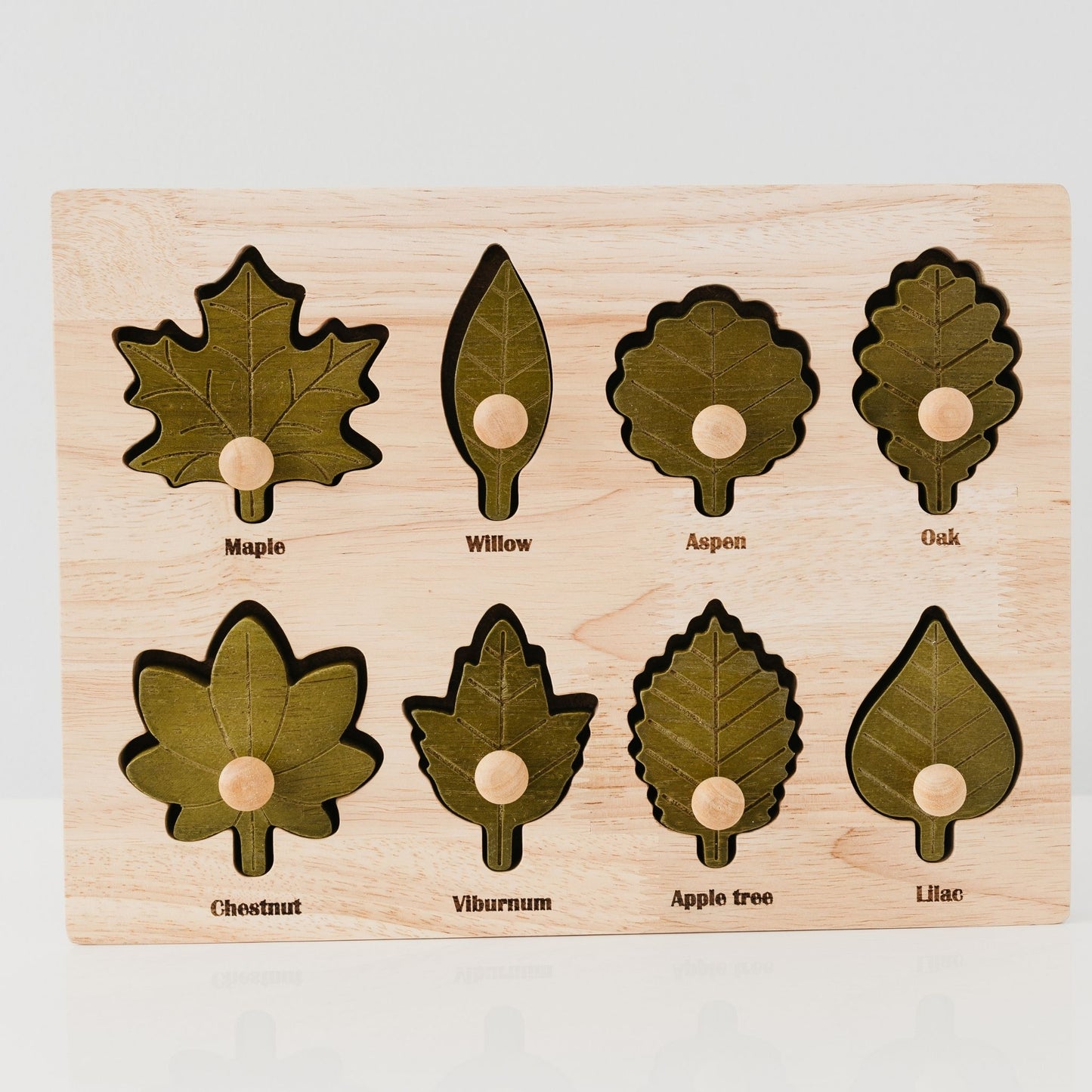 Montessori Leaf Puzzle