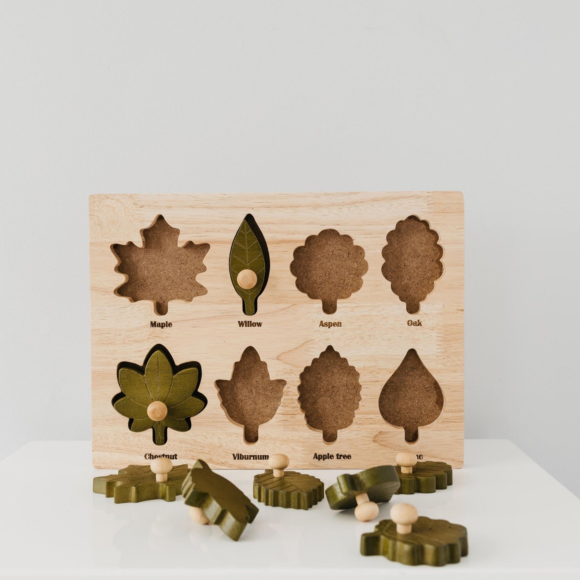 Montessori Leaf Puzzle