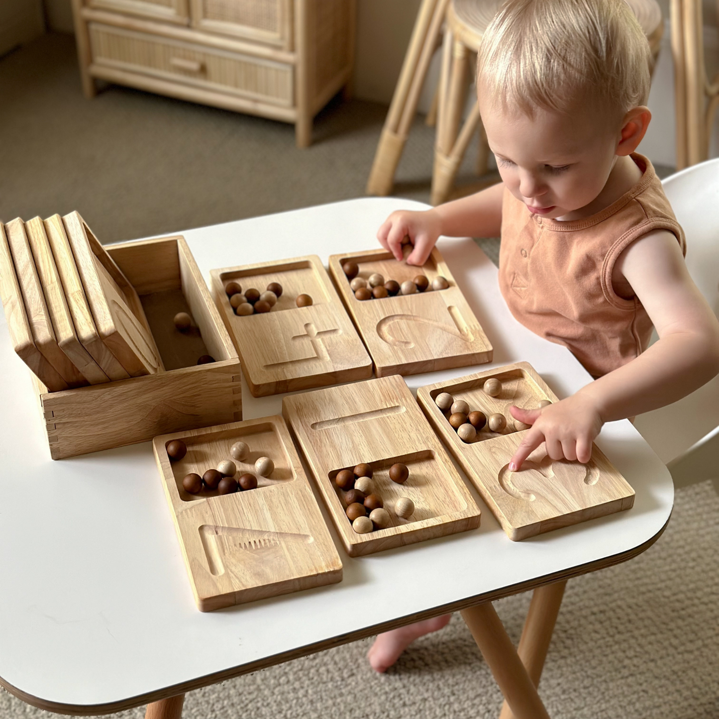 Jumbo Counting Trays