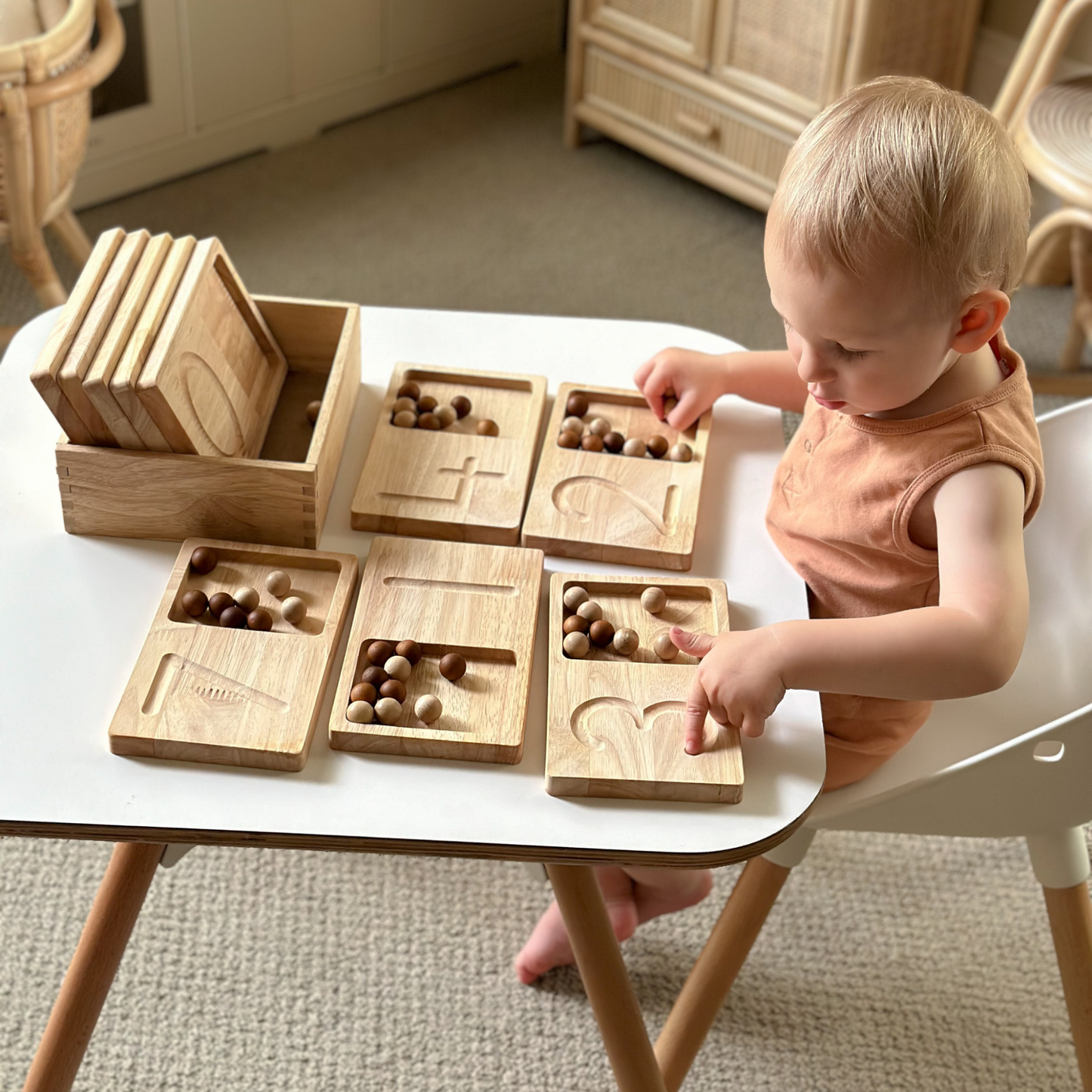 Jumbo Counting Trays