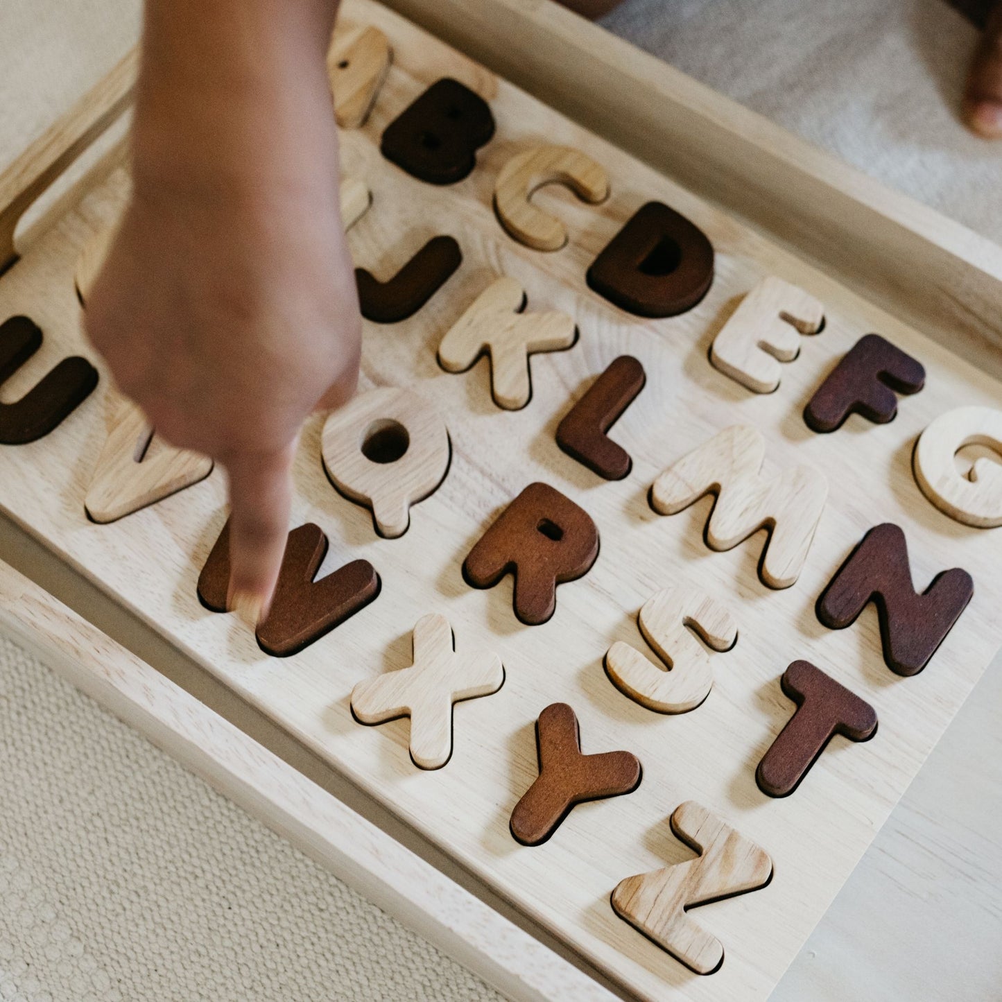 Two Toned Natural Capital Letter Puzzle