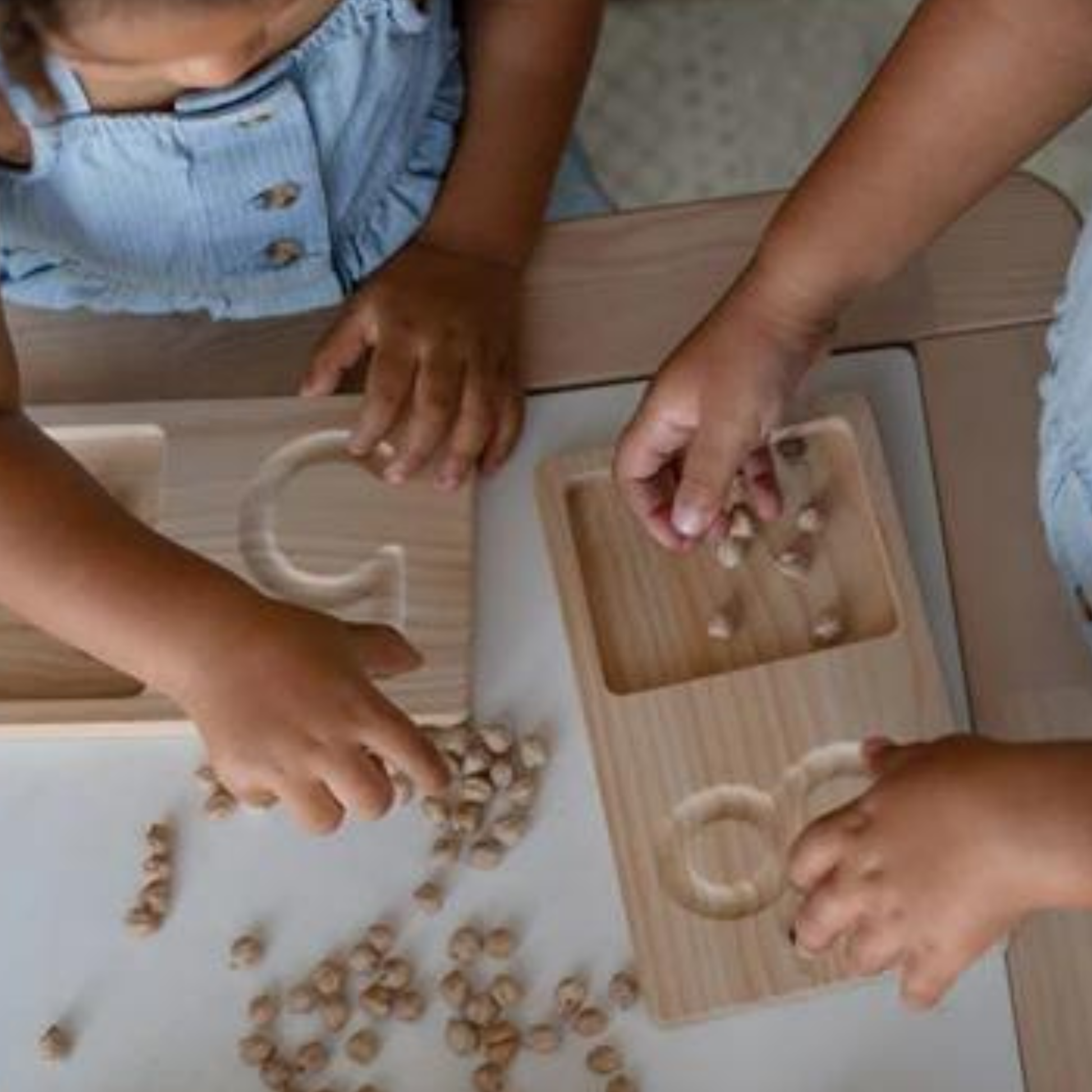 Jumbo Counting Trays