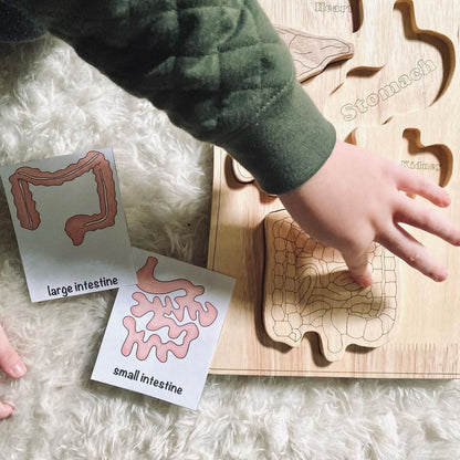 Wooden Anatomy Puzzle