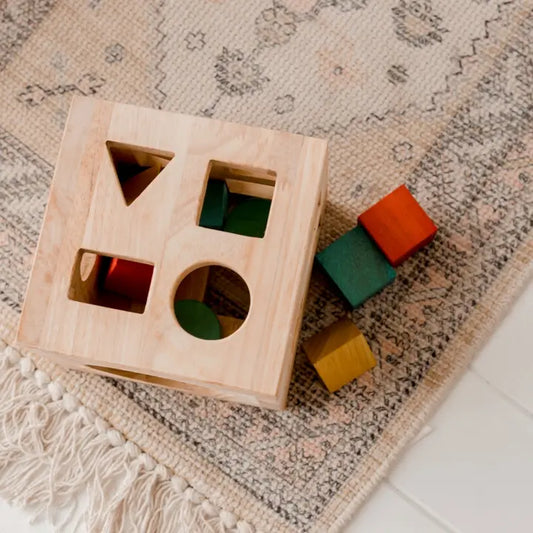 Wooden Montessori Shape Post Box