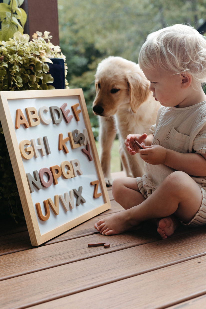 Alphabet Magnet Play Set