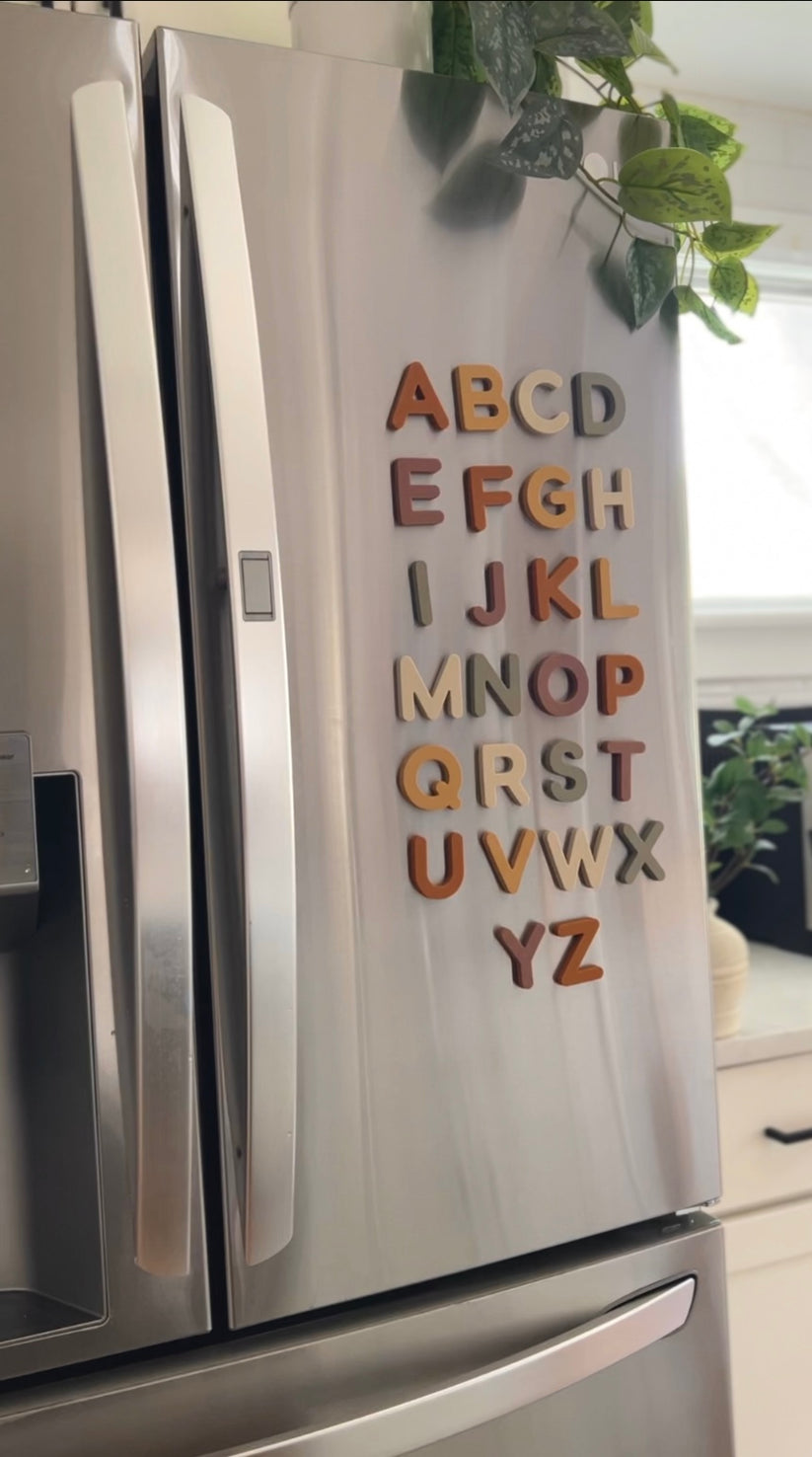 Alphabet Magnet Play Set