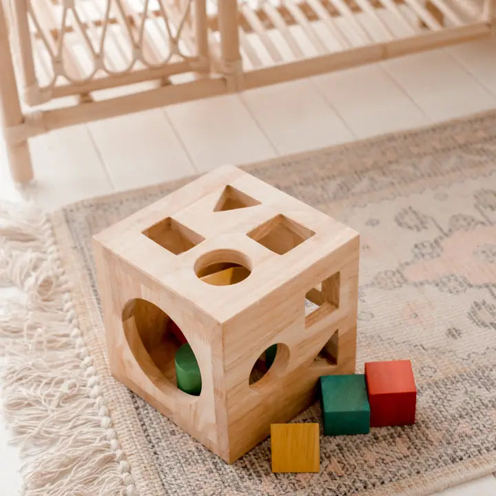 Wooden Montessori Shape Sorter