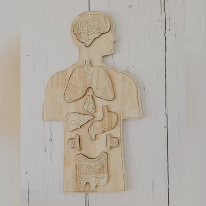 Wooden Anatomy Puzzle