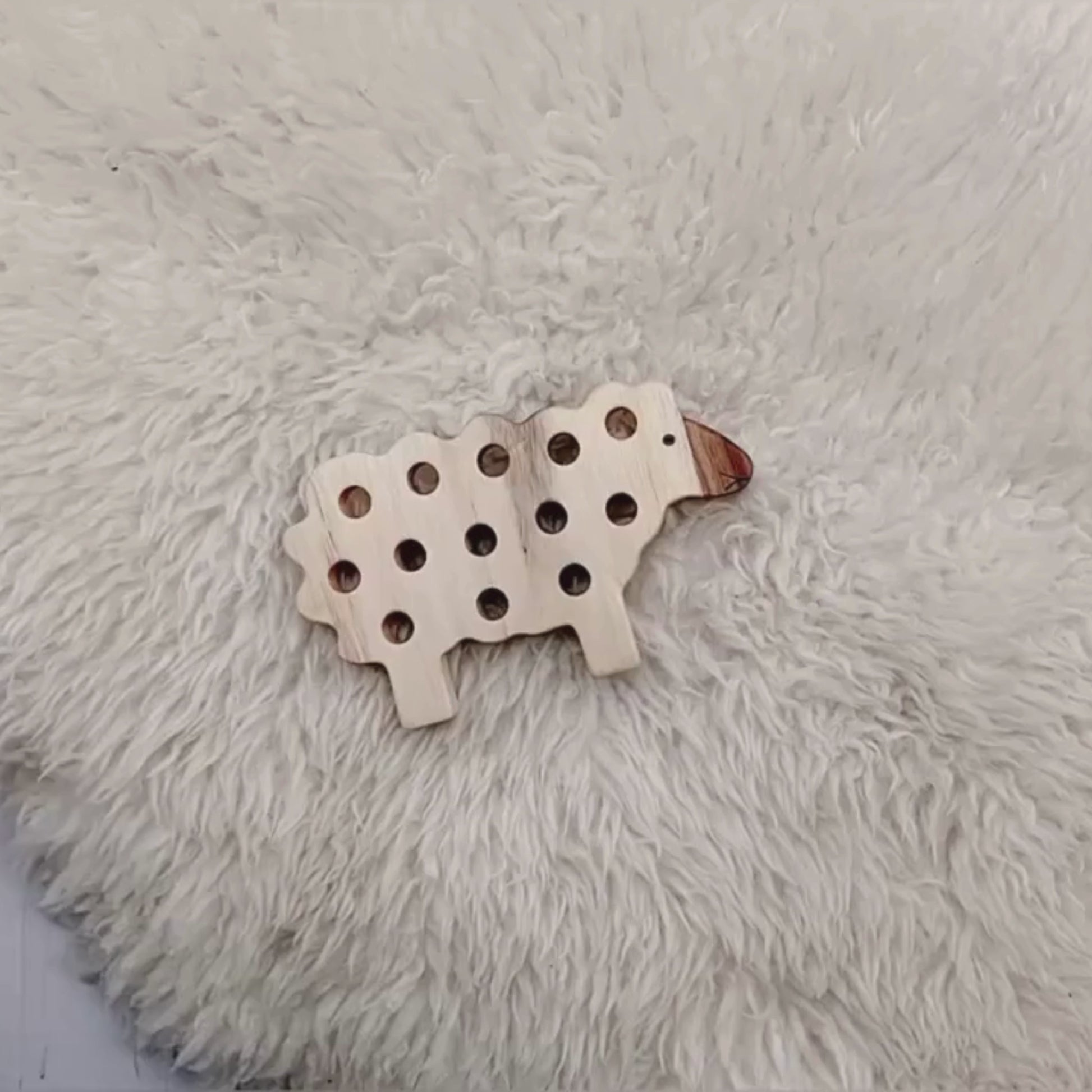 Lacing Sheep