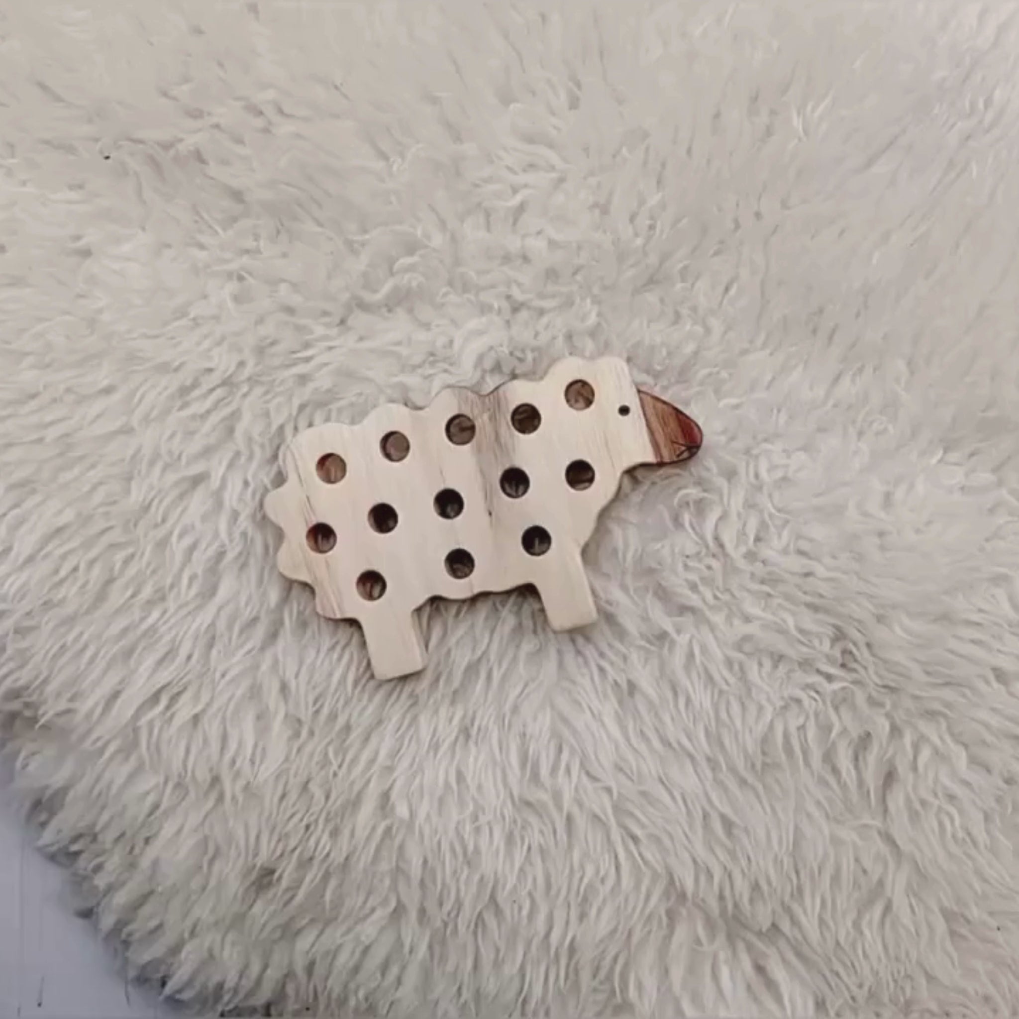 Lacing Sheep