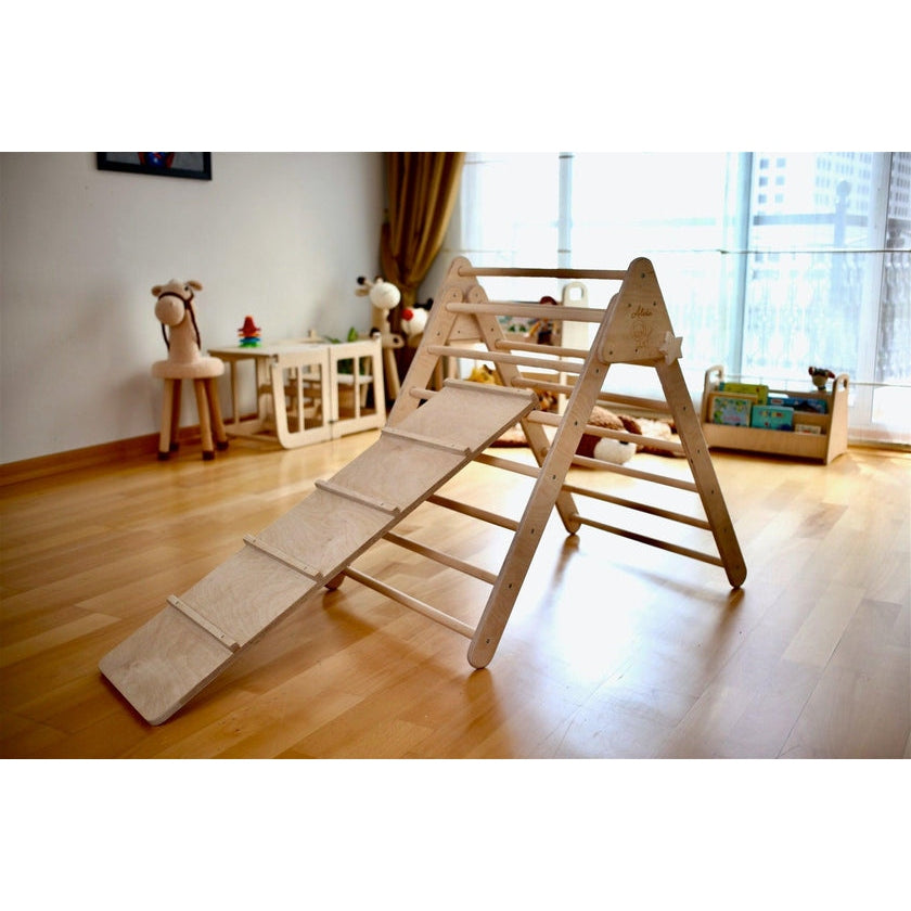 Reversible Ladder Climbing / Sliding Ramp