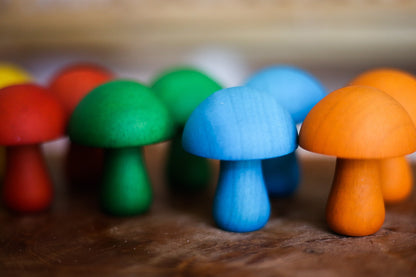 Color mushroom set of 10 - The Nurturing Nook